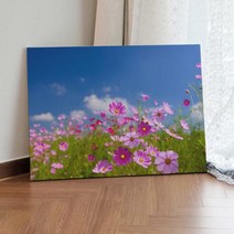 아트박스/꾸밈 bc266-캔버스액자72.7x53_가을코스모스꽃밭, 이미지1
