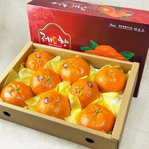 제주 명품 레드향 선물용 최상품 특대과 3kg, 제주 명품 레드향 특등급 3kg