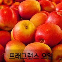 엔피솝 사과(Apple) 프래그런스오일 인공향 캔들 디퓨저 방향제 DIY 만들기, 10ml
