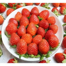 산청 설향 딸기 1kg 한박스 딸기 산지직송 새벽수확 당일발송 (실속특가상품), 1개