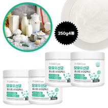 모유유산균 루테리 21종 혼합유산균 프롤린 유산균먹이 함유 4세대 포스트 바이오틱스, 250g, 4통