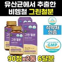 여성 비햄철 비헴철 그린 철분 철분제 영양제 정 2통 플러스 캡슐 남자 임산부 여자 남성 출산후