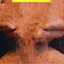 천연고운생황토흙20kg 분갈이흙(개별)