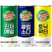 캐나다드라이 클럽소다&토닉워터&진저에일 250ml X 각10개(총30개) 탄산음료/음료수/코카콜라/탄산/캔음료/캐나다/드라이/클럽소다, 30개