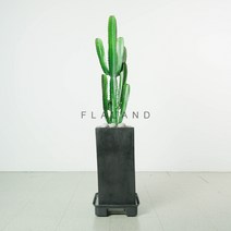 플라랜드 청화각 선인장 인테리어화분 시멘트화분, 청화각 - 블랙 화분, 1개