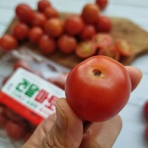 스테비아를 입힌 한입쏙 미니토마토 2팩(1kg) 4팩(2kg), 스테비아건달마토1kg(500g X2팩)