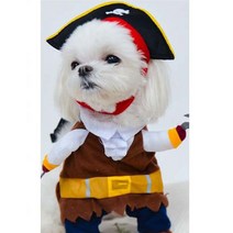 SSBEST펫 해적의상세트, 보험가입, M