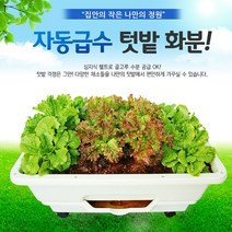 자동급수텃밭화분/텃밭재배기/베란다텃밭/아파트텃밭/자동급수텃밭/자동급수화분/자동급수재배기, 자동급수텃밭화분_그레이
