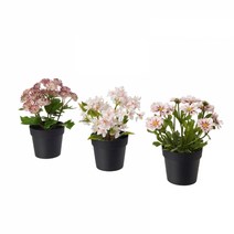 이케아 FEJKA 페이카 인조식물 실내외겸용 핑크 9cm 3개 803.953.28, Artificial plants