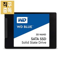 WD BLUE 3D SSD NAND 1TB WDS100T2B0A, 단품, 단품