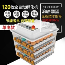 기계 병아리 인큐베이터 오리 거위의 물침대 가정용 전자동 소형 계란찜질 병아리 부화기-49415, 옵션23
