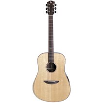 디시 티 재팬 (Dct Japan) 일렉트릭 어쿠스틱 기타 DR-742E