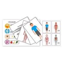 초등수업용 우리몸 관찰 스토리북 만들기 미술학원 돌봄교실 미술패키지 수업키트