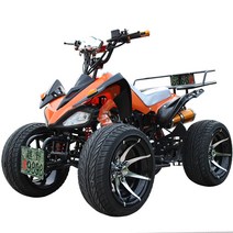 ATV 4륜 바이크 오토바이 산악 오프로드 농업용사발이, 레드 150CC 10인치 휠