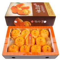 한라봉 3kg 중 (11~13과)/제주도직배송, 선물포장