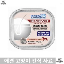파피용 간편한사료 소화가 잘되는 노견 디톡스 주식캔 진돗개 펫수분사료