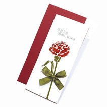 레드카네이션 어버이날카드&스승의날카드, 1개, red_A