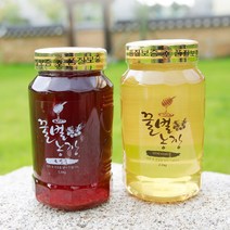 [창녕 꿀벌 농장] 100% 천연 꿀 한국 양봉협회 인증1+등급. 설탕NO 물엿NO, 숙성 꿀, 1통, 1.2kg