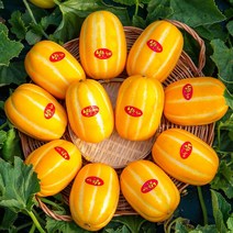 프리미엄 성주 꿀 참외 3kg 로얄과 당도보장, 정품 참외 3kg 로얄과, 1개