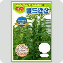 골드 안산 참깨 씨앗 3000립 진흥 가지깨 코팅종자 깨씨앗