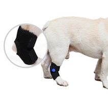 DOG 강아지 산책 개 다리 슬개골 깁스 보호대 1P 1개, 3애견슬개골보호대-L
