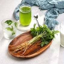 이승현님의 전남 함평 새싹삼 새싹인삼, 1박스, 미니(15cm 내외) 100뿌리