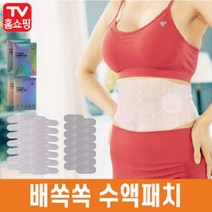 위드데이 목초수액 배쏙쏙 옆구리 종아리 발열 시트 1set(4주 프로그램)
