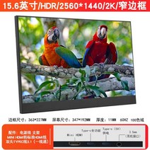 포터블모니터 13.3-17.3인치 2-4K 60-144Hz 휴대용 보조모니터, 15.6인치 Type-C 2K