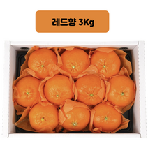 코스트코_청정 제주 서귀포 지역에서 재배된 레드향3kg, 3Kg