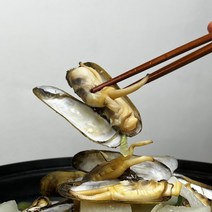 특품엄선 순천만 맛조개 1kg 산소포장 당일채취 당일발송, 1개