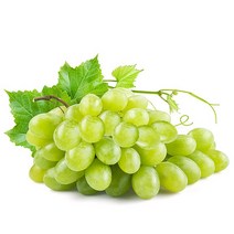 오렌지씨 포도_1kg~2kg_거봉(레드글로브)청포도크림슨적포도, 청포도_2kg_size(XL)