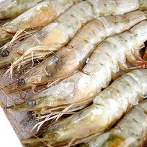 냉동 자연산 대하1kg(30~40미내외), 단품