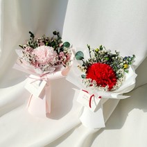 카네이션 미니 꽃다발 + 투명케이스, 1개, 레드카네이션꽃다발
