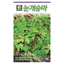 감초 5g - 씨 씨앗 감초씨 감초씨앗 약재 채소씨 채소씨앗 약용식물 약재씨앗 약재씨 약용식물씨앗, 02_다농_눈개승마(1g)