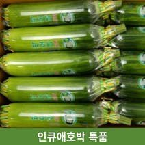 국내산 애호박 인큐애호박 당일상품 호박, 10개, 특품1개(300g이상)