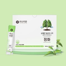 유비무환 정화 기관지 폐 목 좋은 음식 도라지 금은화 환, 75g, 1개