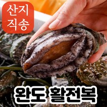 [김씨네] 완도 활 전복 산지직송 안심 산소포장 당일발송, 소 25미~30미 1kg