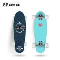 롱보드 입문용 댄싱 스케이트보드 Sixtysix66 스케이트 보드 카버 서핑 스키 연습, 어린이 란링 27.9