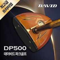 데이비드 로얄 프리미엄 파크골프 세트상품 DP500 + 파크골프 사은품, 프리미엄 DP500 남성세트