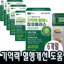 징코플러스 은행잎추출물 혈액 순환 에 좋은 두뇌 기억력 영양제 혈행 개선 도움 뇌 약6개월분(6박스)