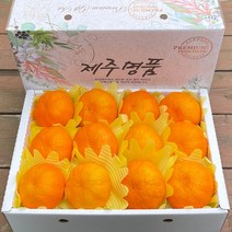 제주 고당도 13브릭스 이상 레드향 3kg 5kg, 레드향5kg, 선물용부직포가방