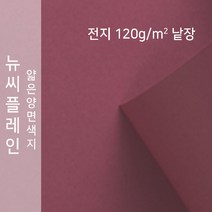 뉴씨플레인 종이문화 얇은 양면색지 120g 전지 낱장 1매 No.69 청적, 1장