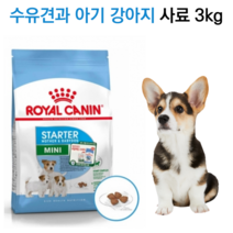 [신제품] 임신한 소형견 영양사료 마더 베이비독 8.5kg 기호성 푸들 말티즈 포메 비숑 시츄 말티즈 수유견 미니푸들 치와와 요크셔 대용량사료 기력보충, 사료 8.5kg