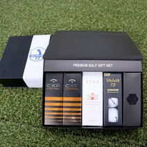 [주문제작]골프공 각인 프리미엄 골프용품 선물세트 부모님 친구 모임 SM-16, 09.케잌