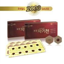 보원 의료용 자기발생기 자기천 10개 1박스 (의료용파스/2000가우스)