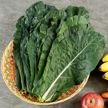 복천 케일 2kg, 단품