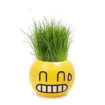 실내정원 홈잔디 머리 인형 DIY 식물 실내 정원 발코니 화병 꽃 화분, 03 Sweat Grass Head