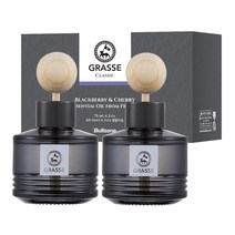 불스원 차량용 방향제 블랙베리&체리 75ml x 2개 디퓨저, 블랙베리체리향
