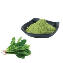 시금치추출분말 1kg, 단품, 단품