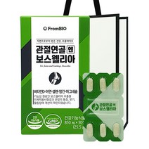 프롬바이오 관절연골 엔 보스웰리아 쇼핑백포함, 850mg x 30정 1박스